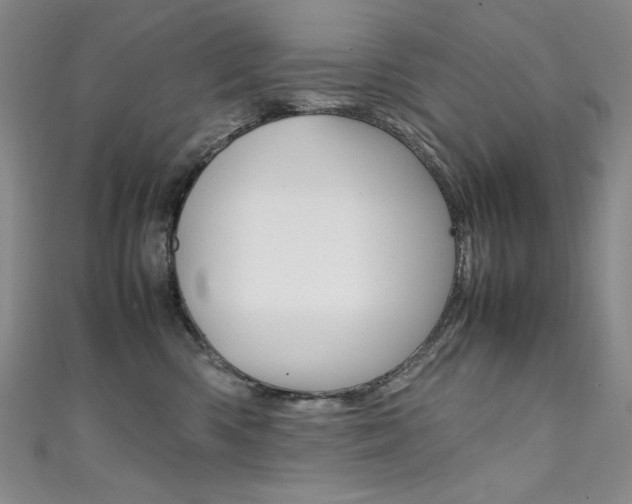 X0000111490426200907141107