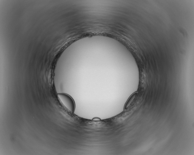 X0000111490428200907141107