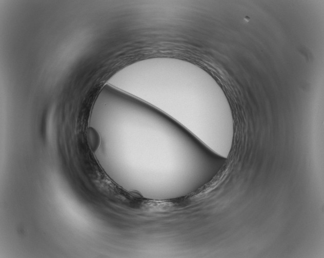 X0000111490429200907141107