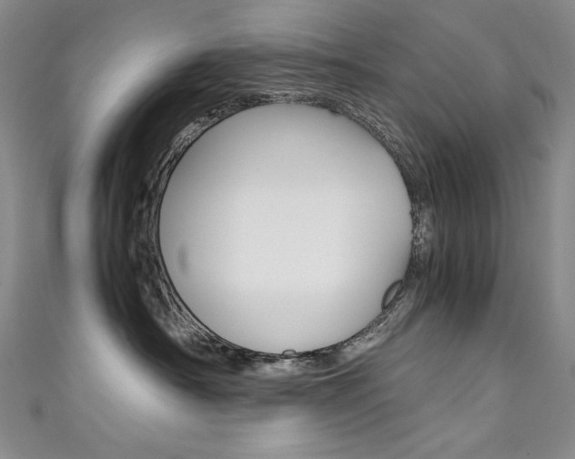 X0000111490430200907141107