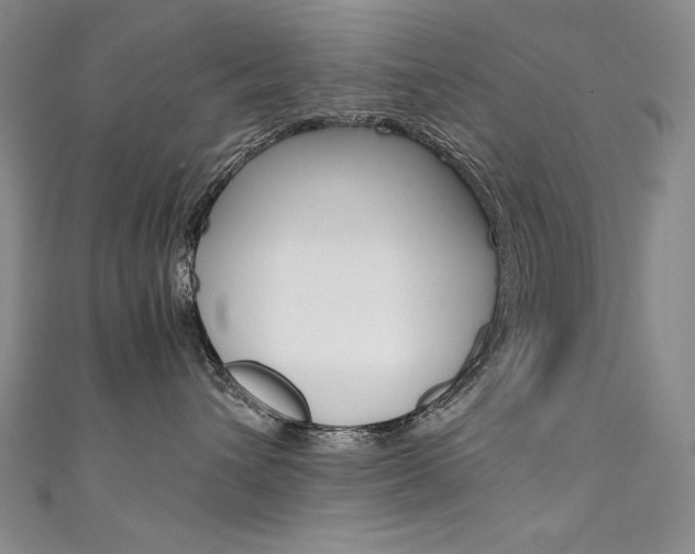 X0000111490432200907141107