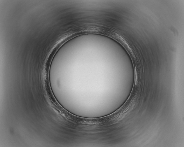 X0000111490435200907141107