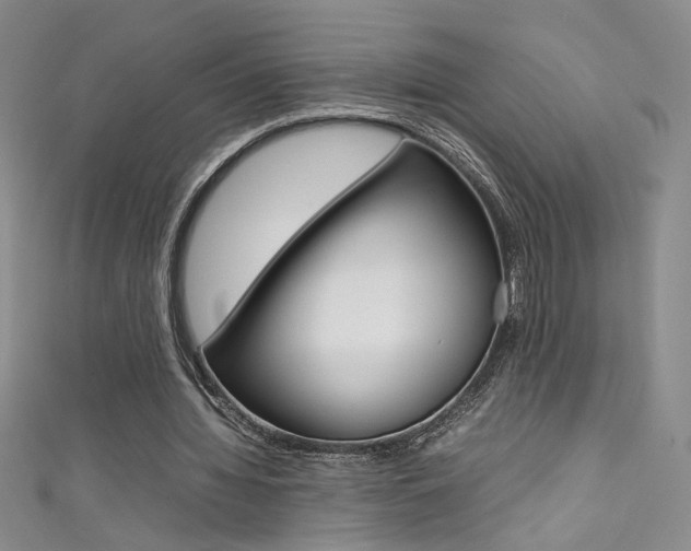 X0000111490436200907141107