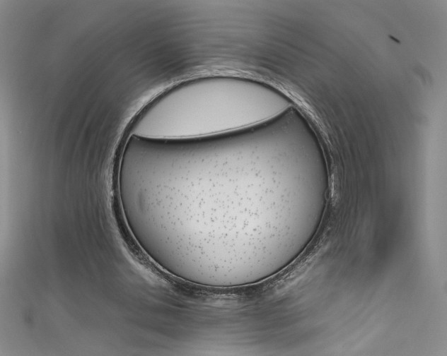 X0000111490438200907141107