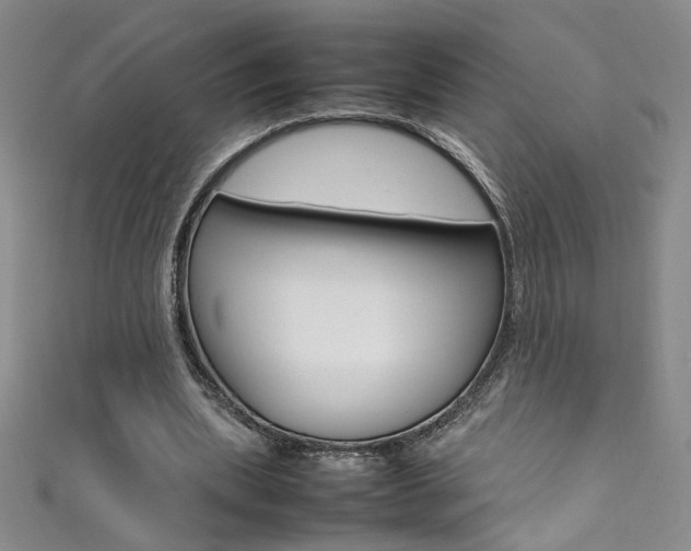 X0000111490439200907141107