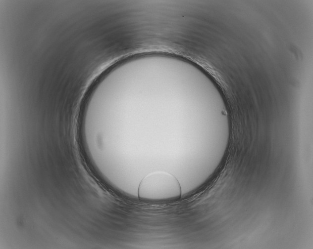 X0000111490440200907141107
