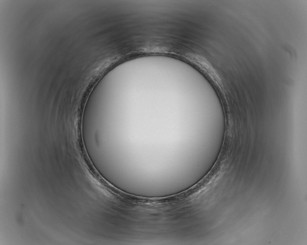 X0000111490441200907141107