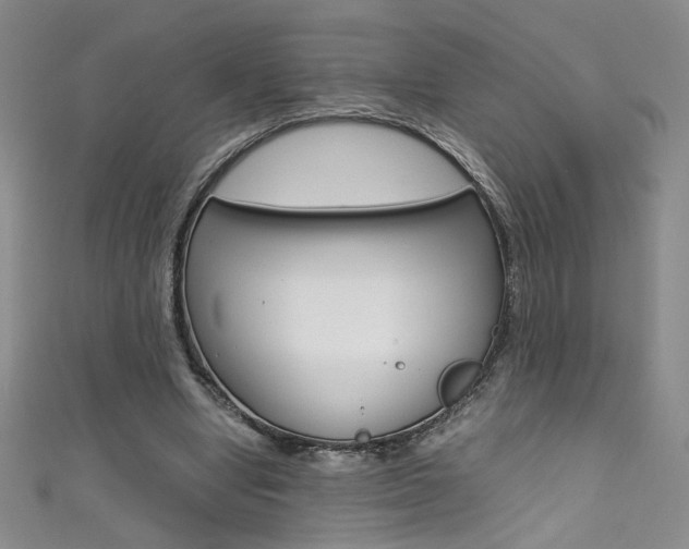 X0000111490442200907141107
