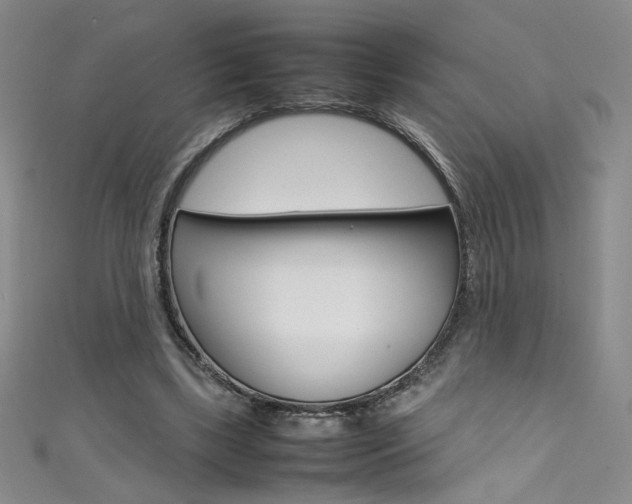 X0000111490443200907141107