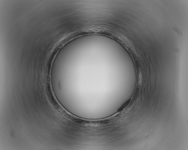 X0000111490444200907141107