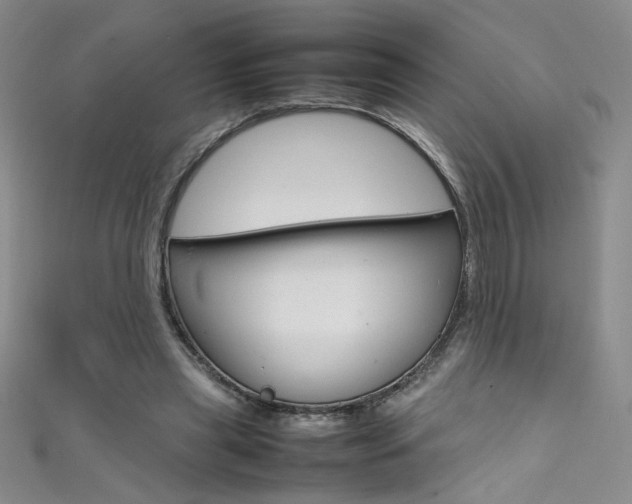 X0000111490445200907141107