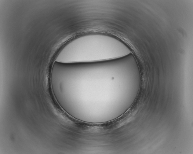 X0000111490446200907141107