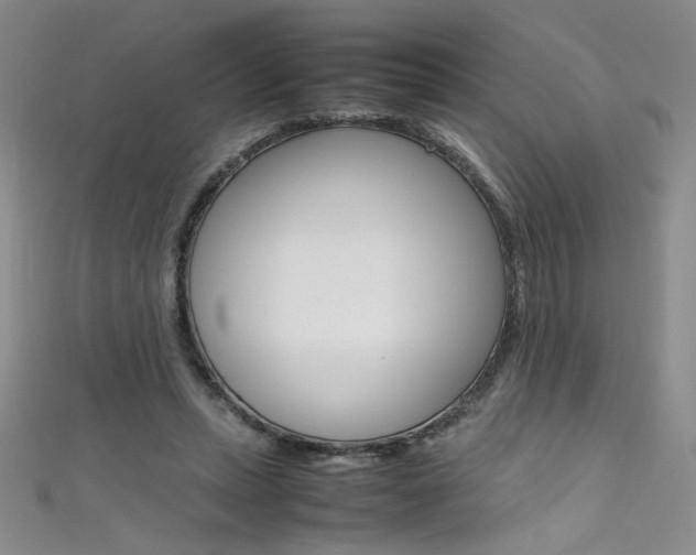 X0000111490447200907141107