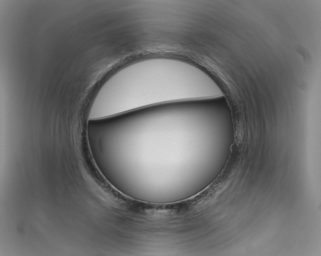X0000111490448200907141107
