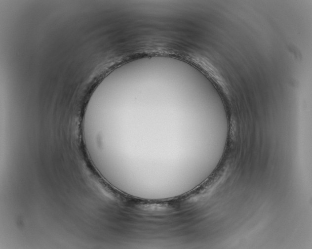 X0000111490449200907141107
