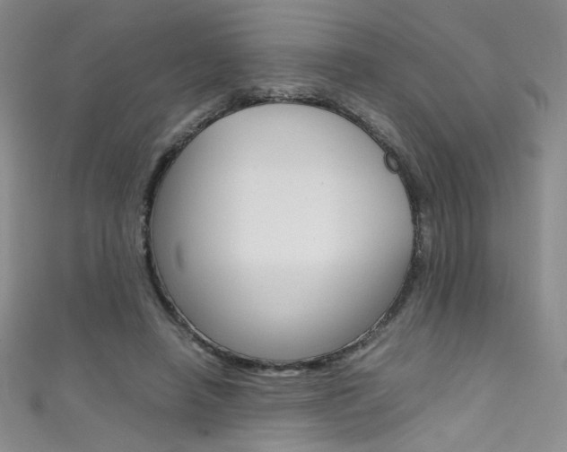 X0000111490450200907141107