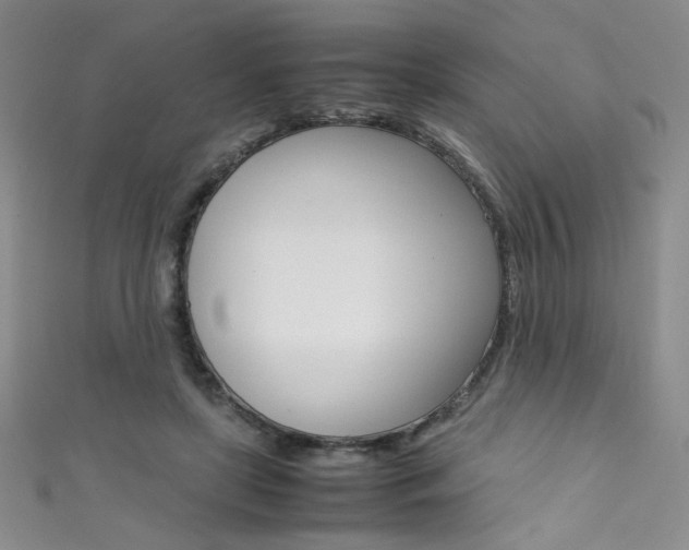 X0000111490451200907141107