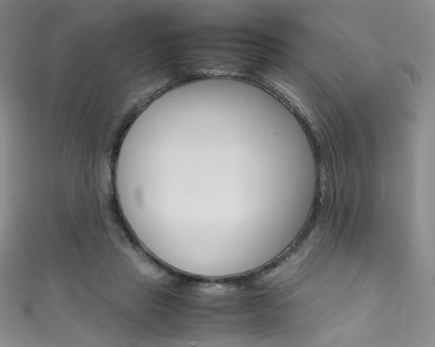 X0000111490453200907141107