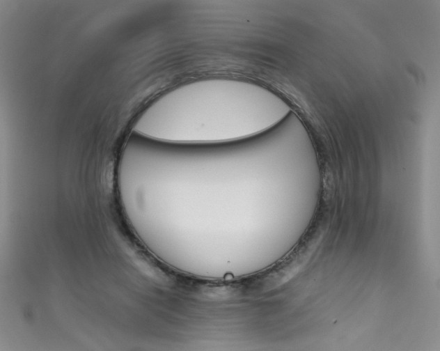 X0000111490454200907141107