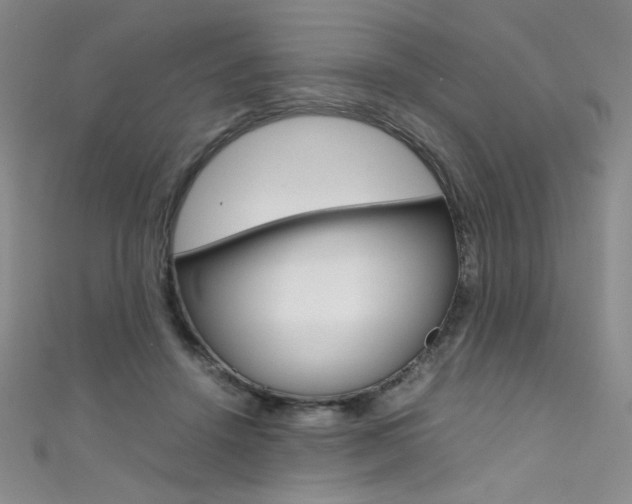 X0000111490456200907141107