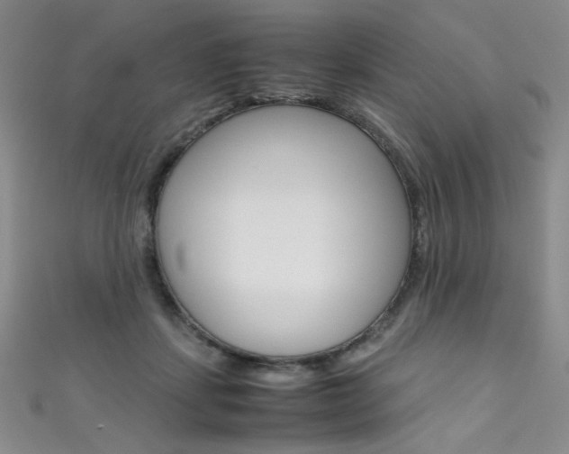 X0000111490459200907141107