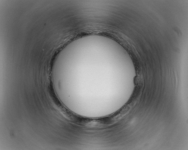 X0000111490460200907141107
