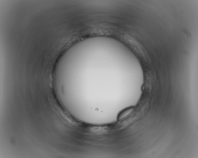 X0000111490465200907141107