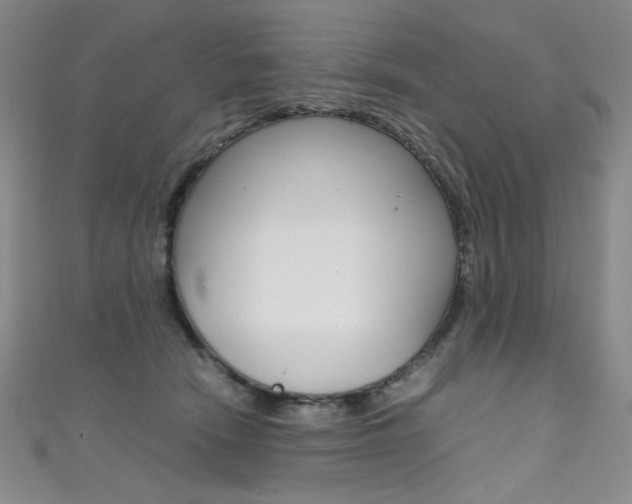 X0000111490466200907141107
