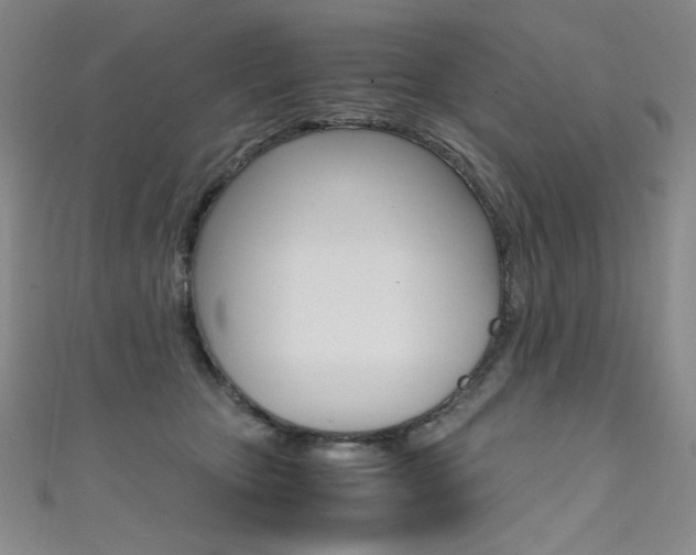 X0000111490467200907141107