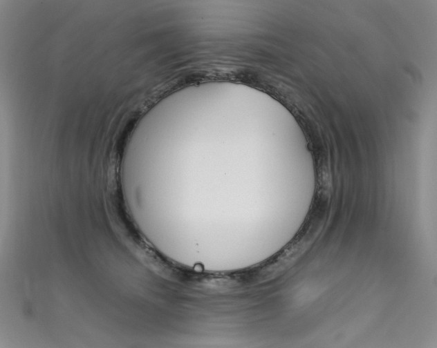 X0000111490468200907141107
