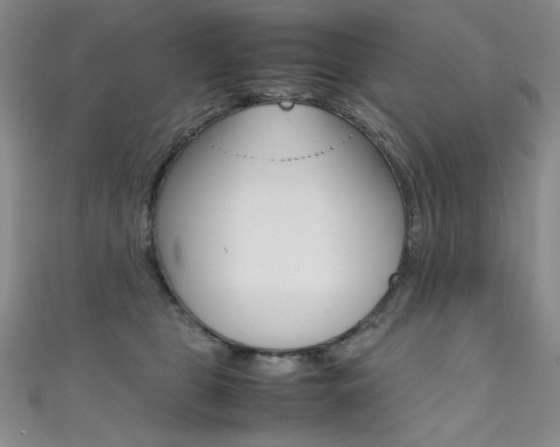 X0000111490469200907141107