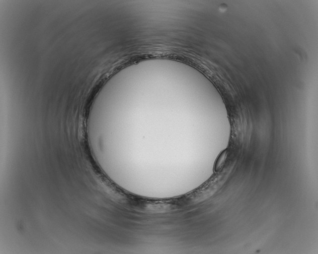 X0000111490470200907141107