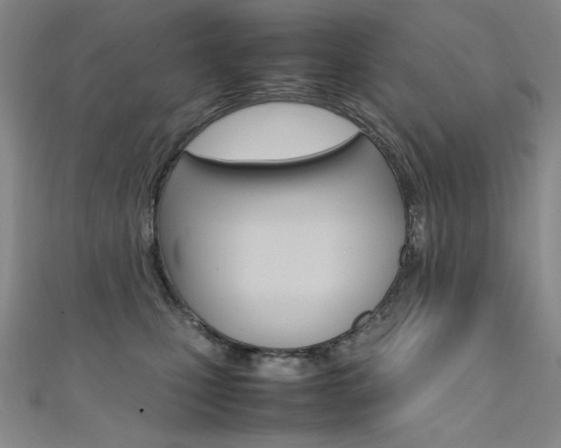 X0000111490471200907141107