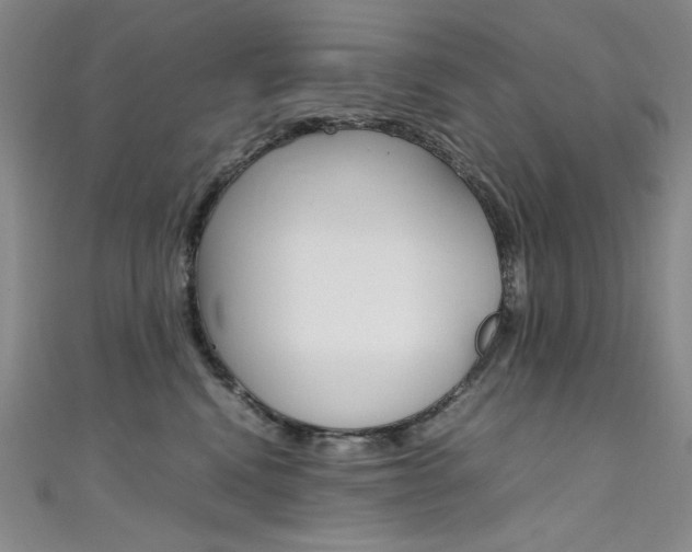 X0000111490472200907141107