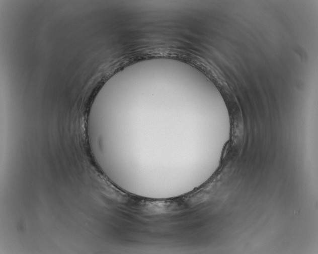 X0000111490473200907141107