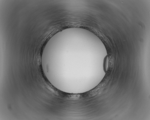 X0000111490474200907141107