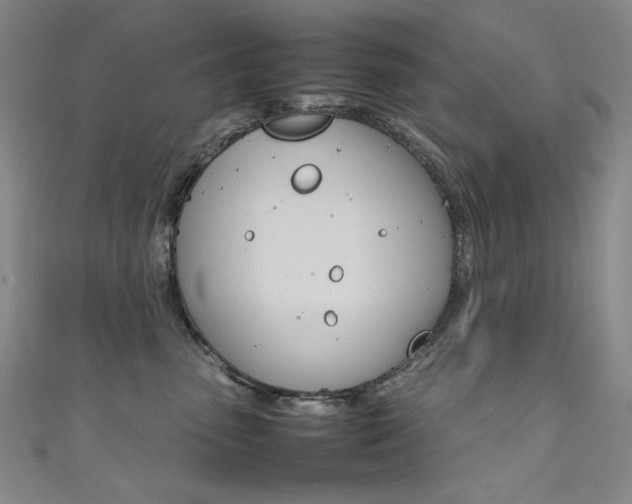 X0000111490475200907141107