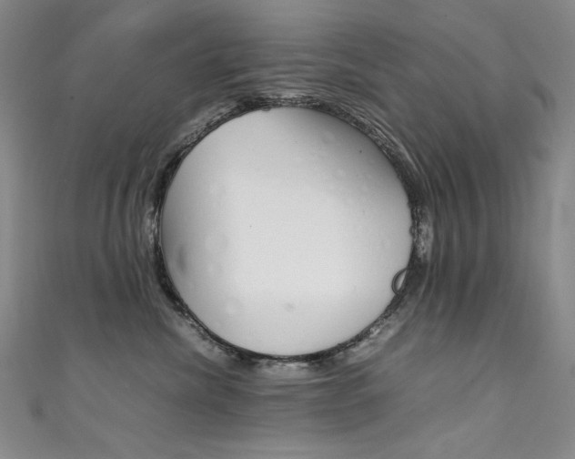 X0000111490476200907141107