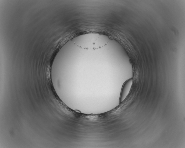 X0000111490478200907141107