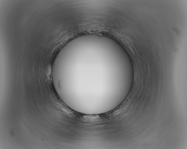 X0000111490480200907141107