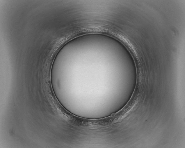 X0000111490481200907141107