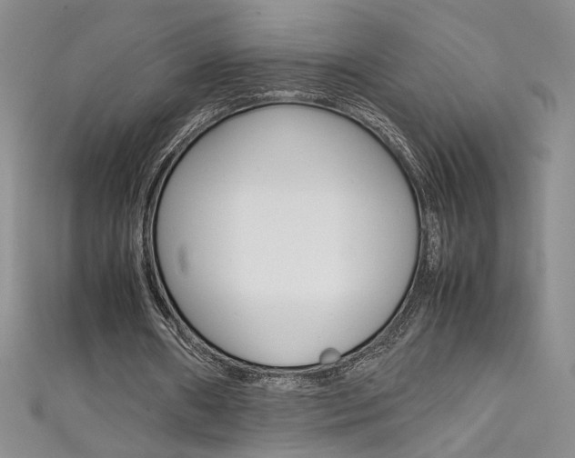 X0000111490482200907141106