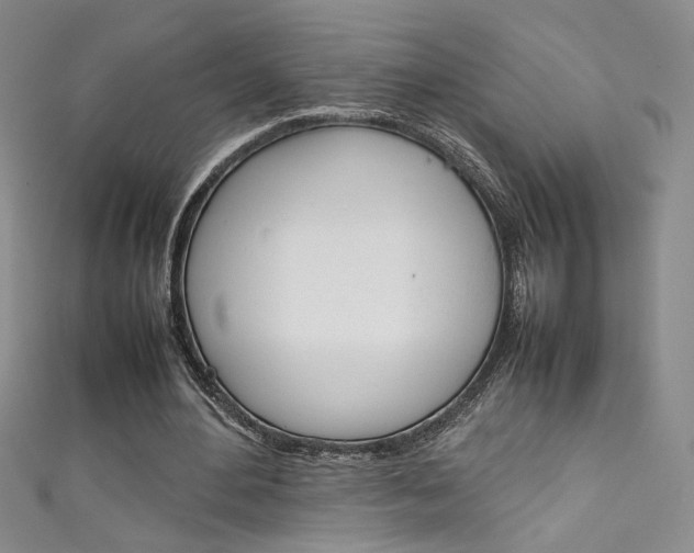 X0000111490484200907141106