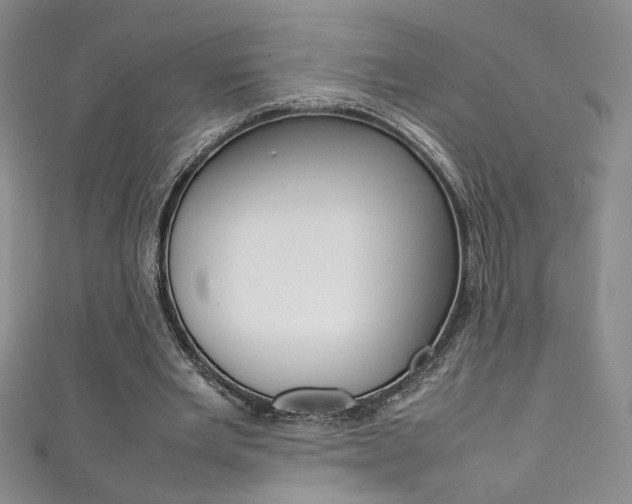 X0000111490485200907141106