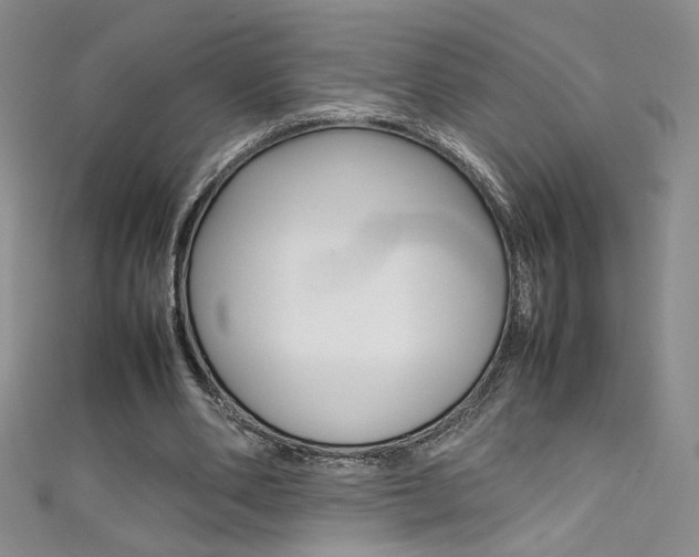 X0000111490486200907141106
