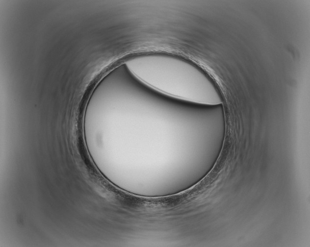 X0000111490487200907141106