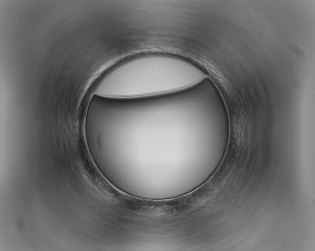 X0000111490488200907141106