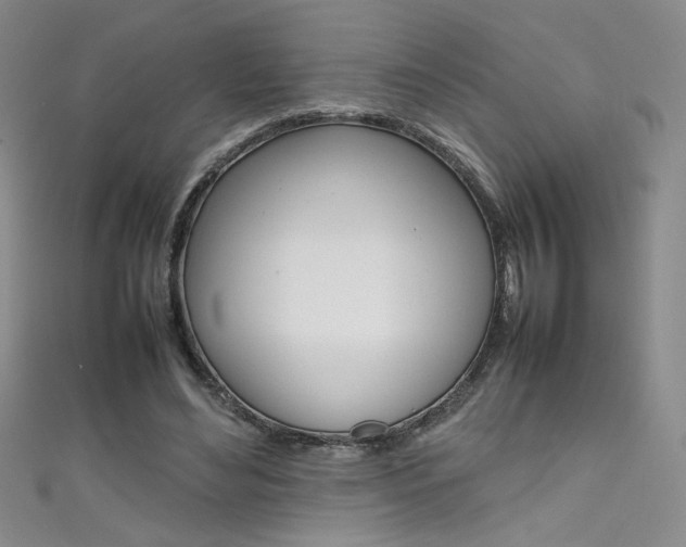 X0000111490492200907141106