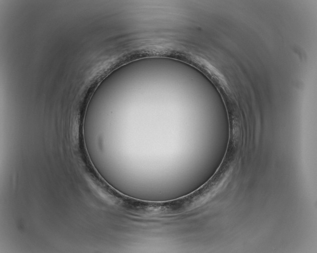 X0000111490493200907141106