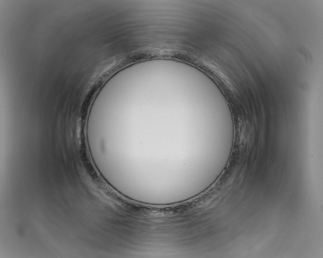 X0000111490494200907141106